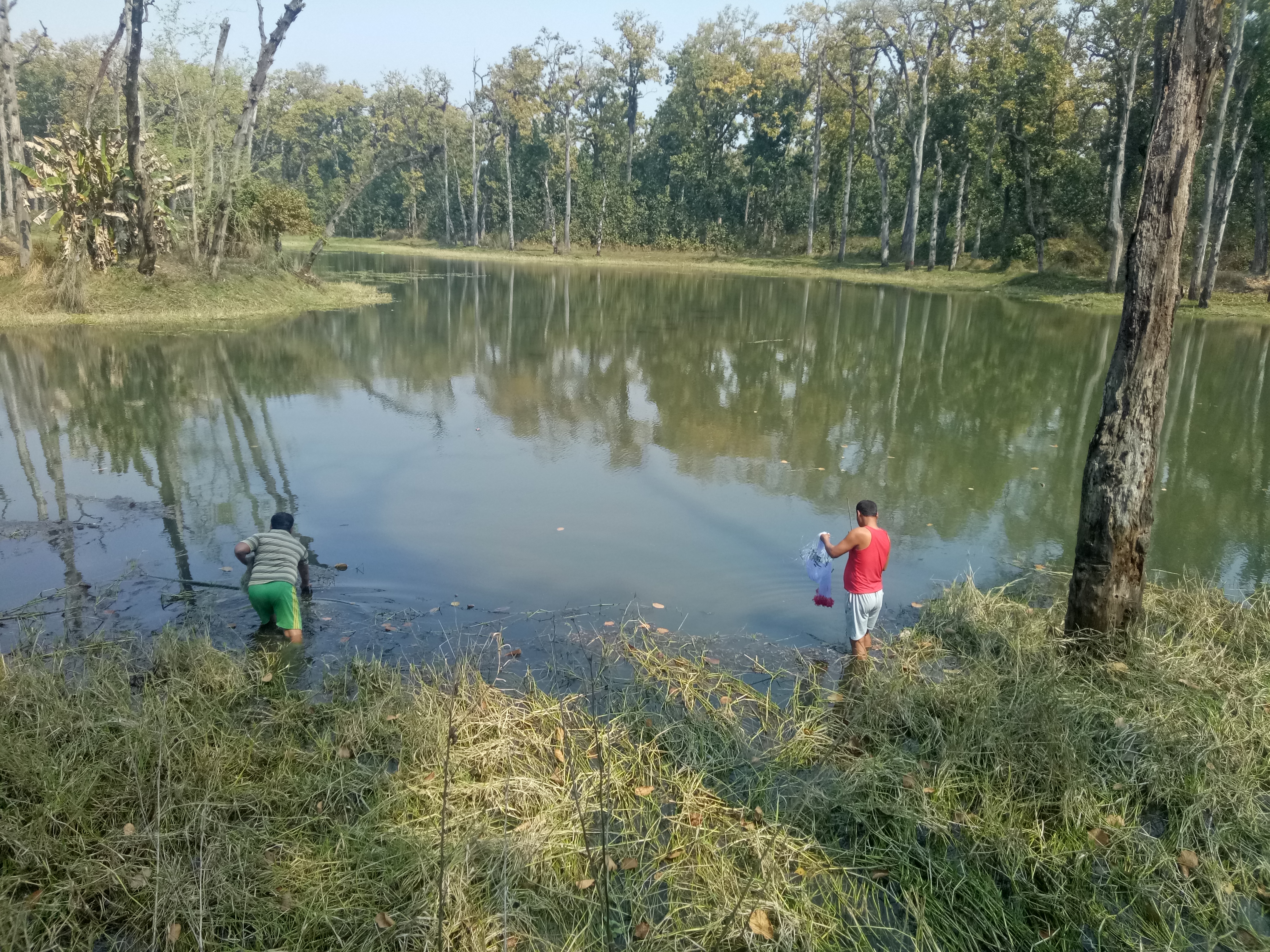 चितवनमा भेटिए उच्च पौष्टिक तत्वयुक्त मारा, पोठी र डेढुवा माछा